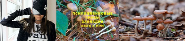метадон Абаза