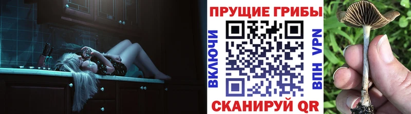 Псилоцибиновые грибы мухоморы  площадка клад  Гусиноозёрск 