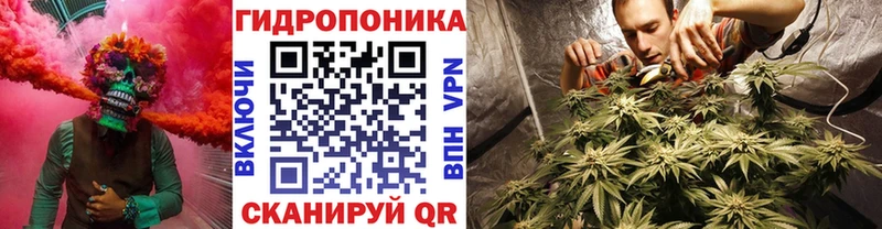 Шишки марихуана Bruce Banner  как найти закладки  Гусиноозёрск 